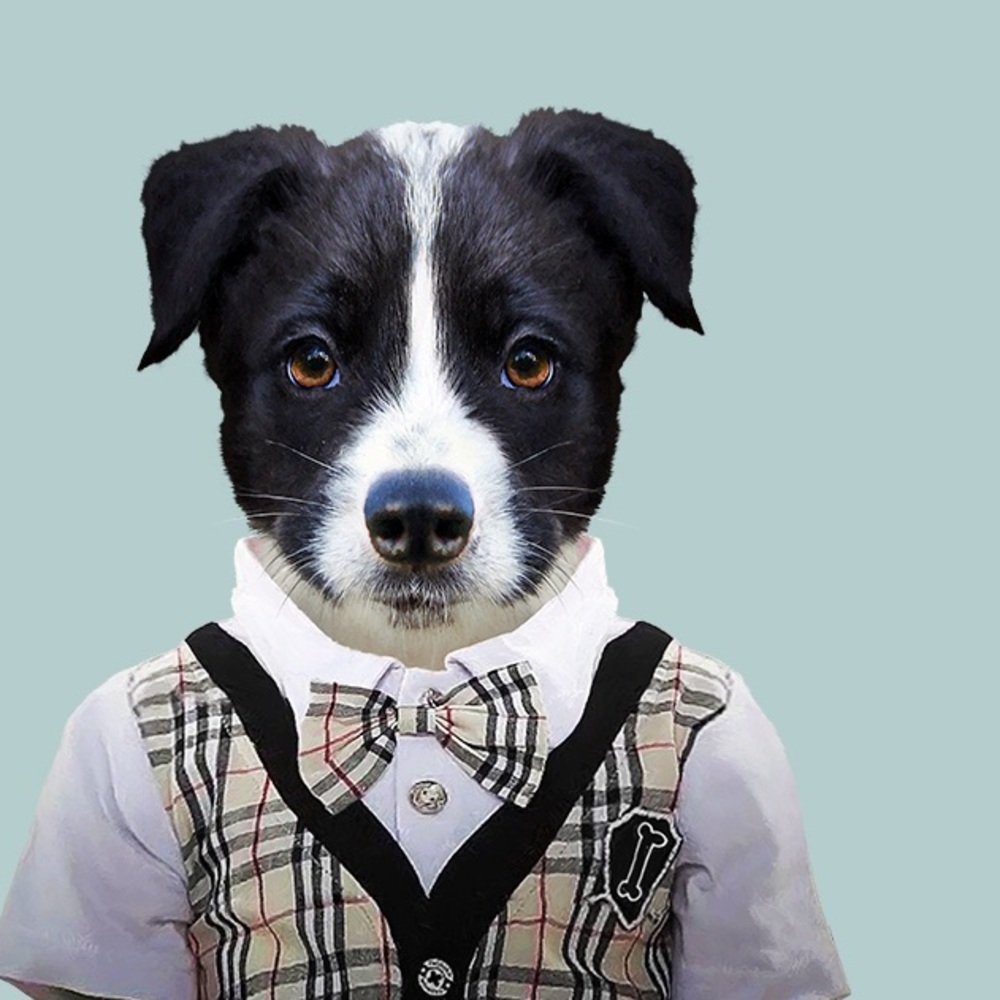 Meet your Posher, Missy
