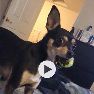 Meet your Posher, Michael