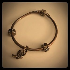 Pandora charm bracelet
