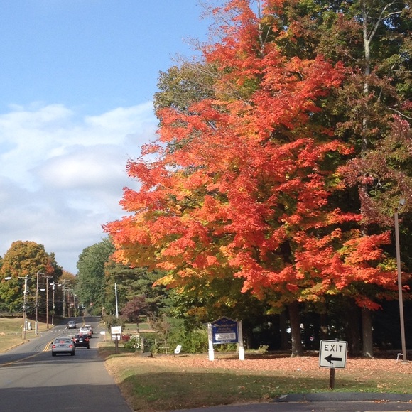 Meet your Posher, Martha - Picture 2 of 2