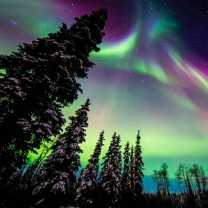 Meet your Posher, Gwen