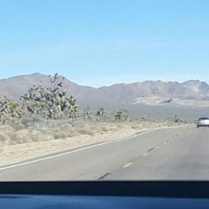 Meet your Posher, Simone