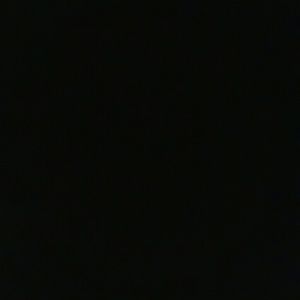 Meet your Posher, Rosita