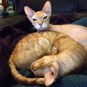 Meet your Posher, Beth