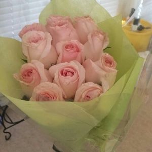 Meet your Posher, Jill