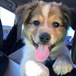 Meet your Posher, Caitlin