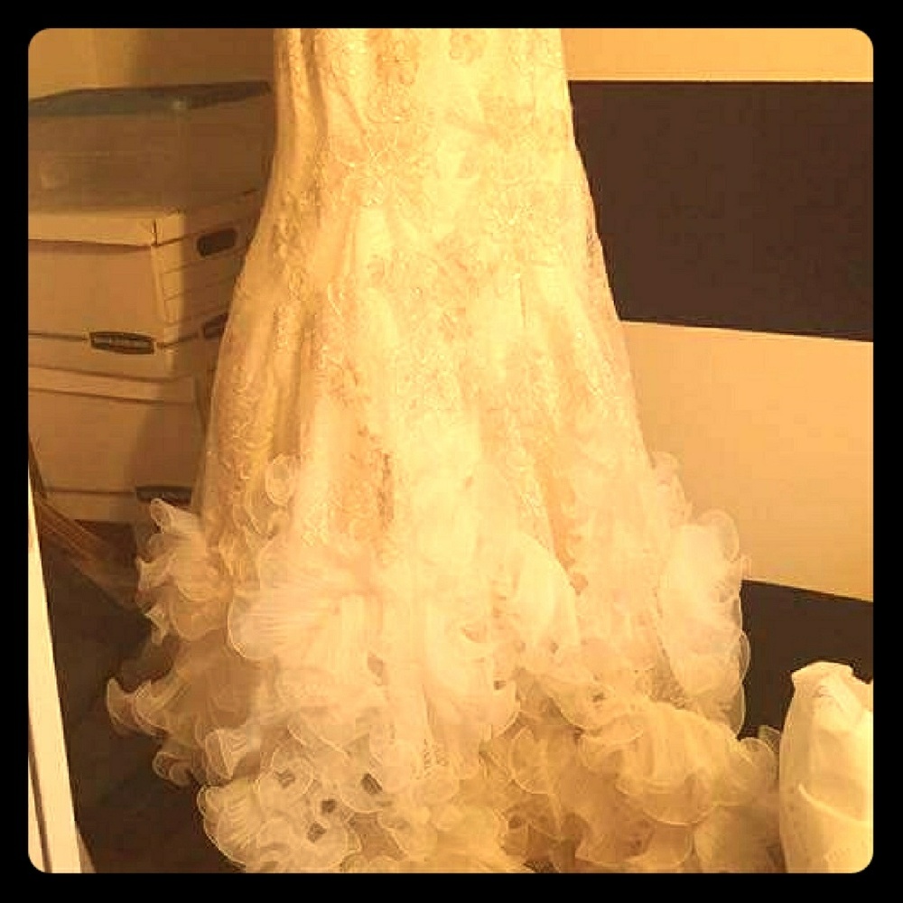 David's bridal gorgeous wedding gown