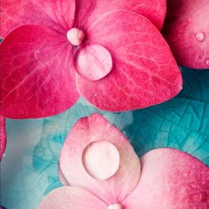 Meet your Posher, Pee