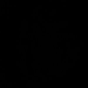 Meet your Posher, Sherryl