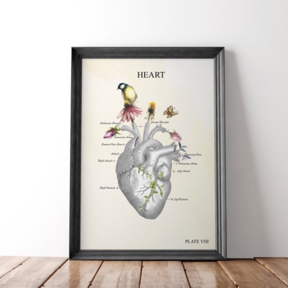 Anatomical Watercolor Art Artwork Art work Print