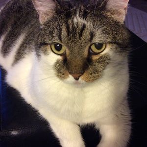 Meet your Posher, Betsy