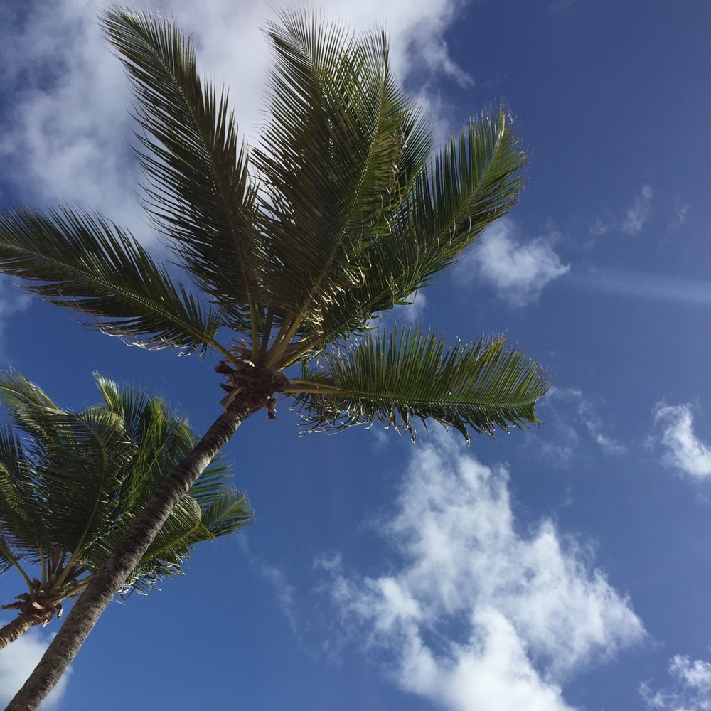 Meet your Posher, Marissa