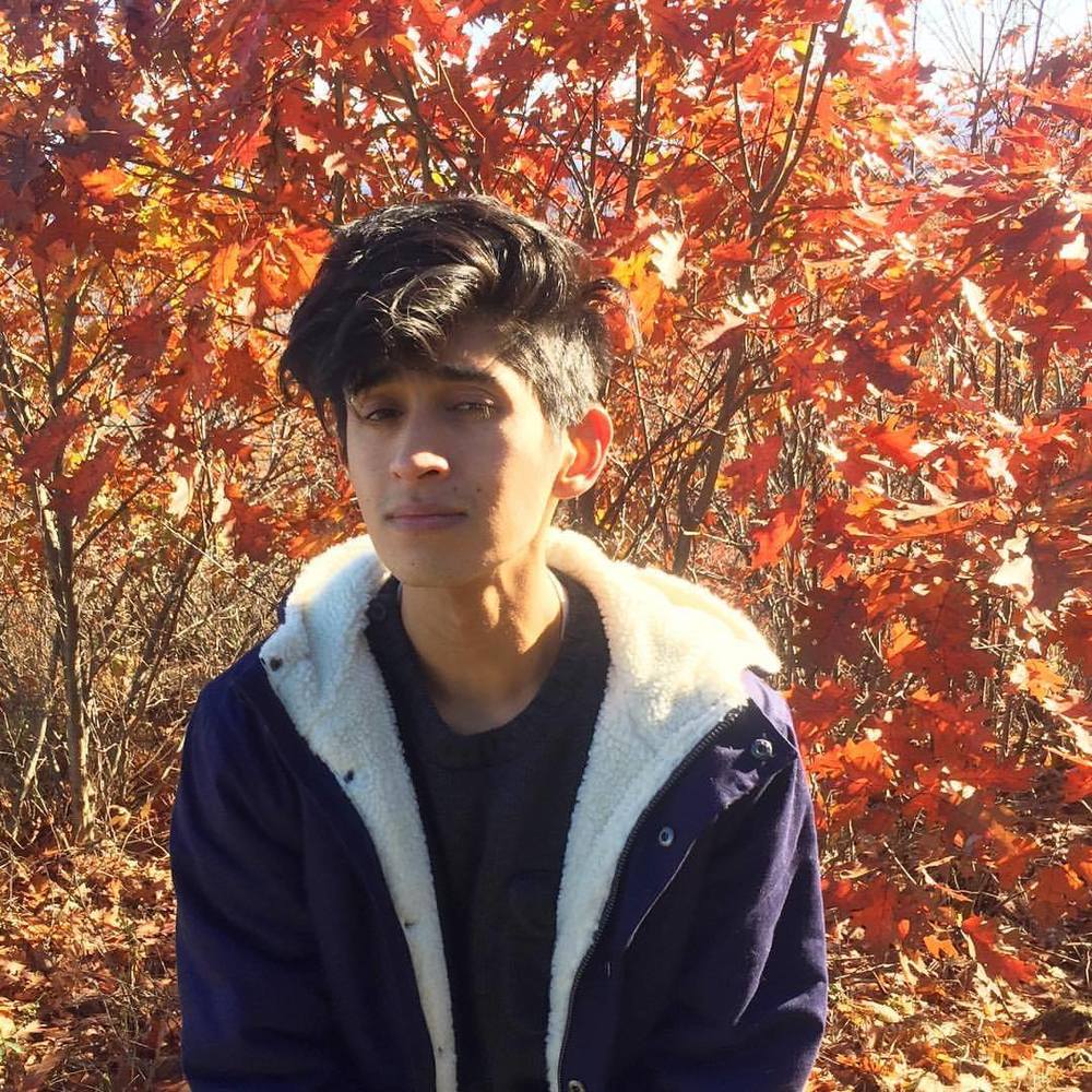 Meet your Posher, Ollie