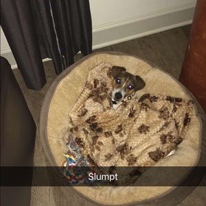 Meet your Posher, Madeline