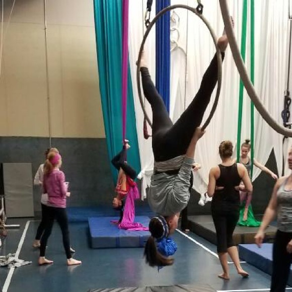 Meet your Posher, Lucy - Picture 4 of 5