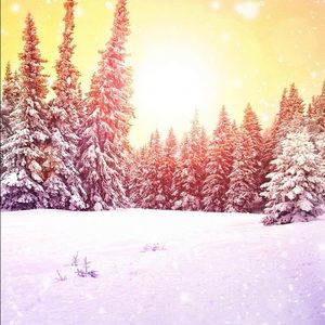 Meet your Posher, Ali