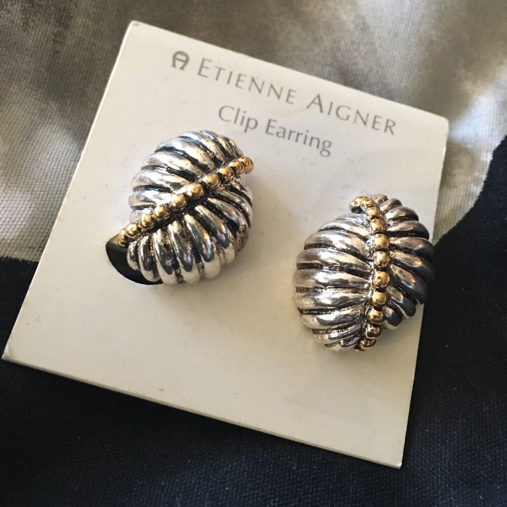 Etienne Aigner clip earrings (1)