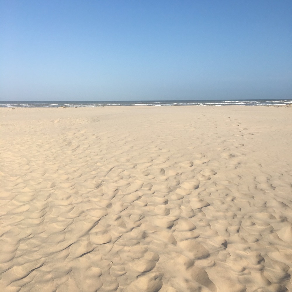 Meet your Posher, Onofre