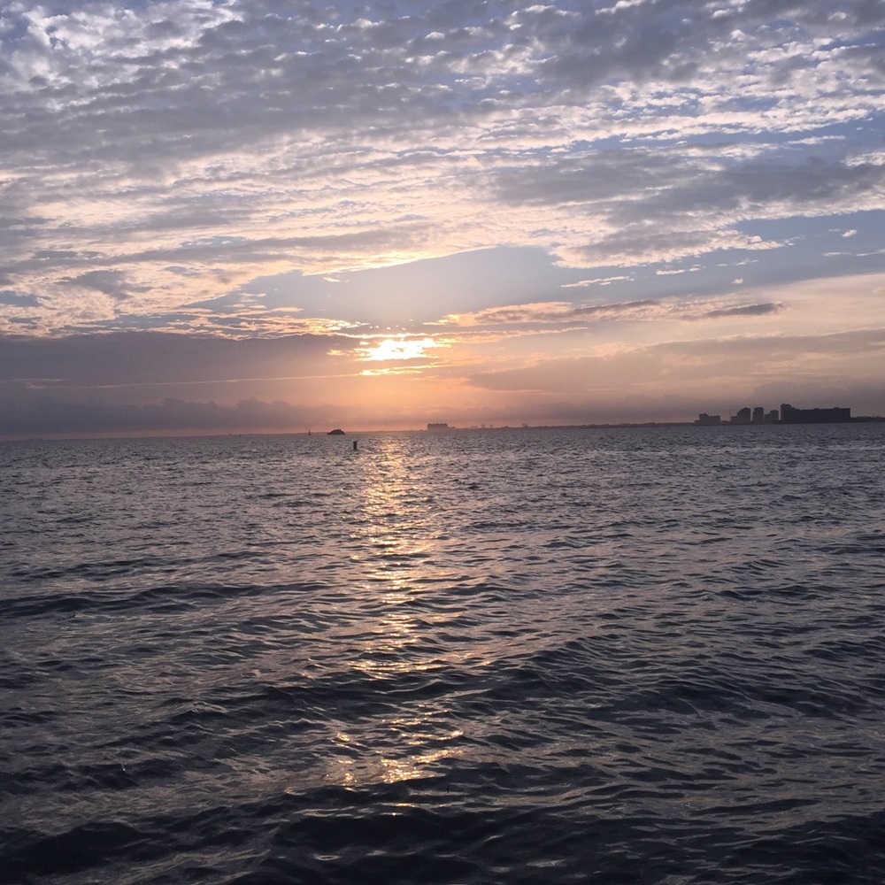 Meet your Posher, Letty