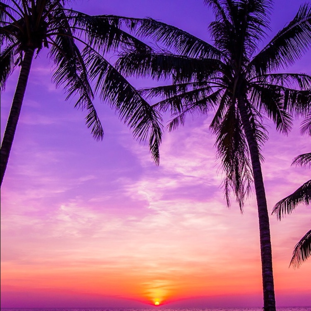 Meet your Posher, Joan