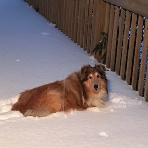 Meet your Posher, Savanna