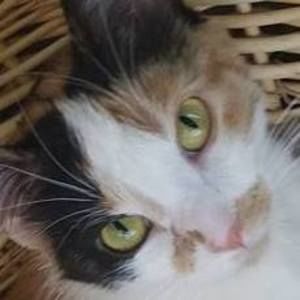 Meet your Posher, Connie