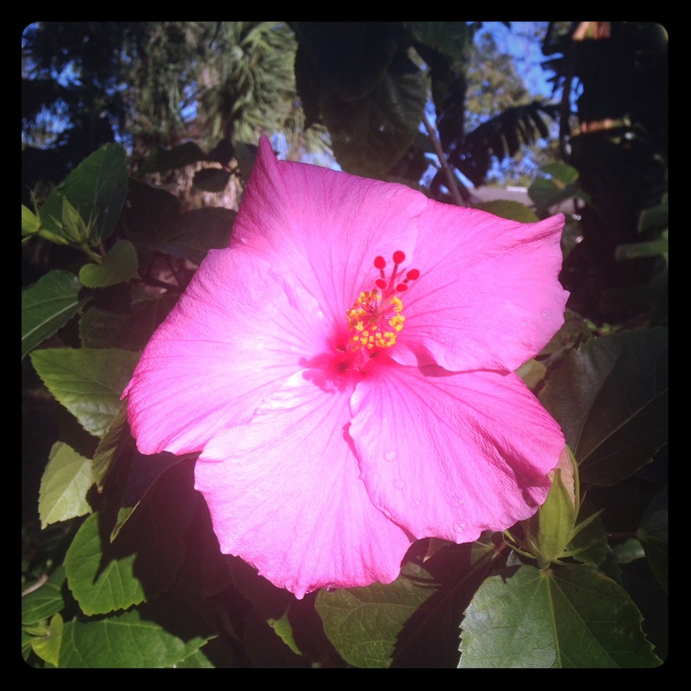 Free Mystery Gift With Any Purchase