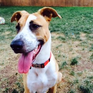 Meet your Posher, Jackson