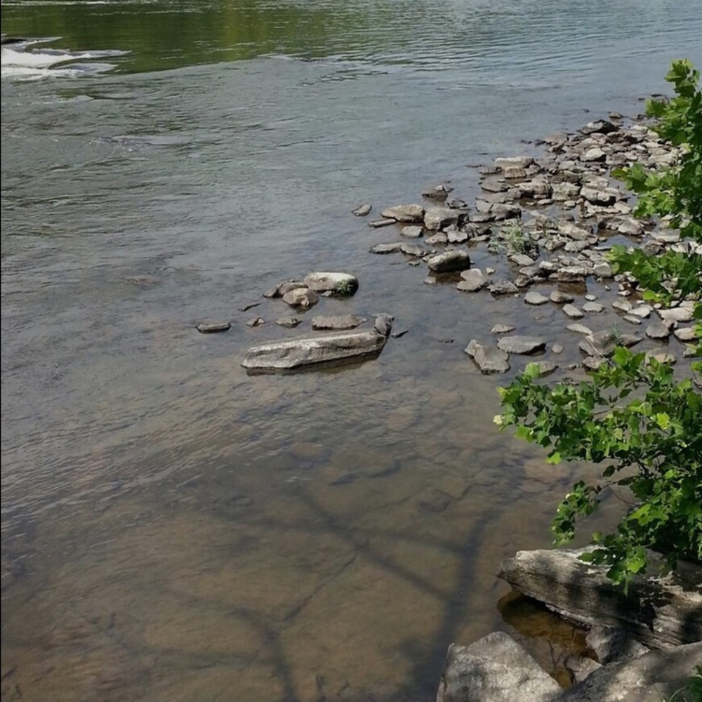 Meet your Posher, Kristy