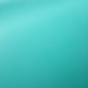 Meet your Posher, Alycia