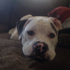 Meet your Posher, Jodi