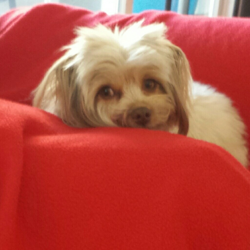 Meet your Posher, Emma