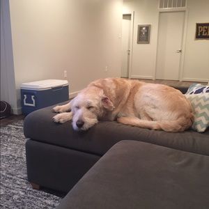 Meet your Posher, Lindsay