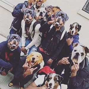 Meet your Posher, Nick