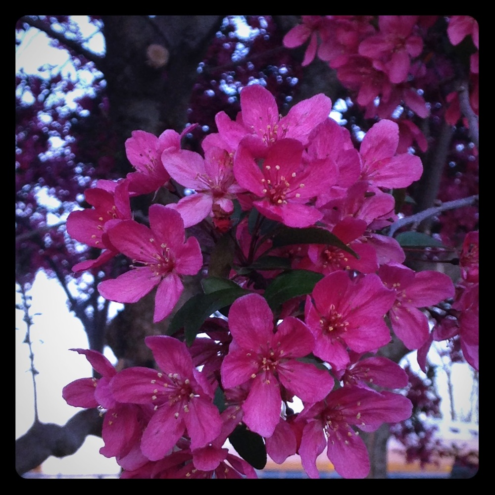 Meet your Posher, Judy