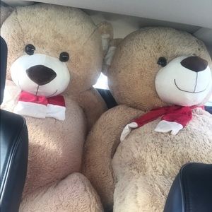 Meet your Posher, Veronica