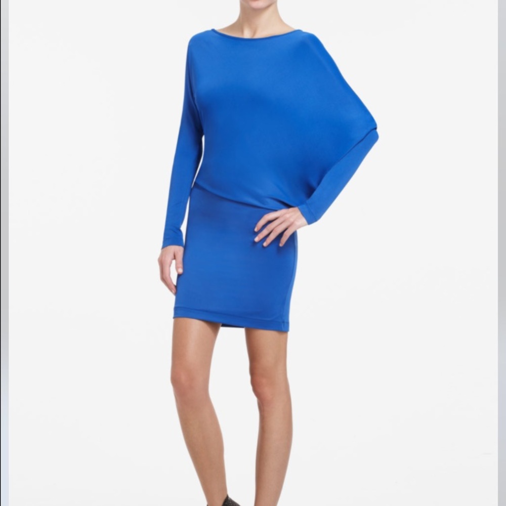 BCBGMaxAzria "Laheld"' dress/ tunic