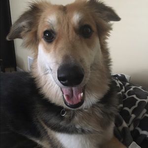 Meet your Posher, Erica