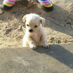 Meet your Posher, Deandre