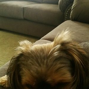 Meet your Posher, Jackie