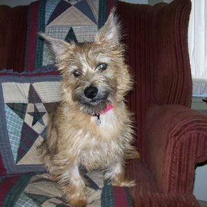 Meet your Posher, Donna