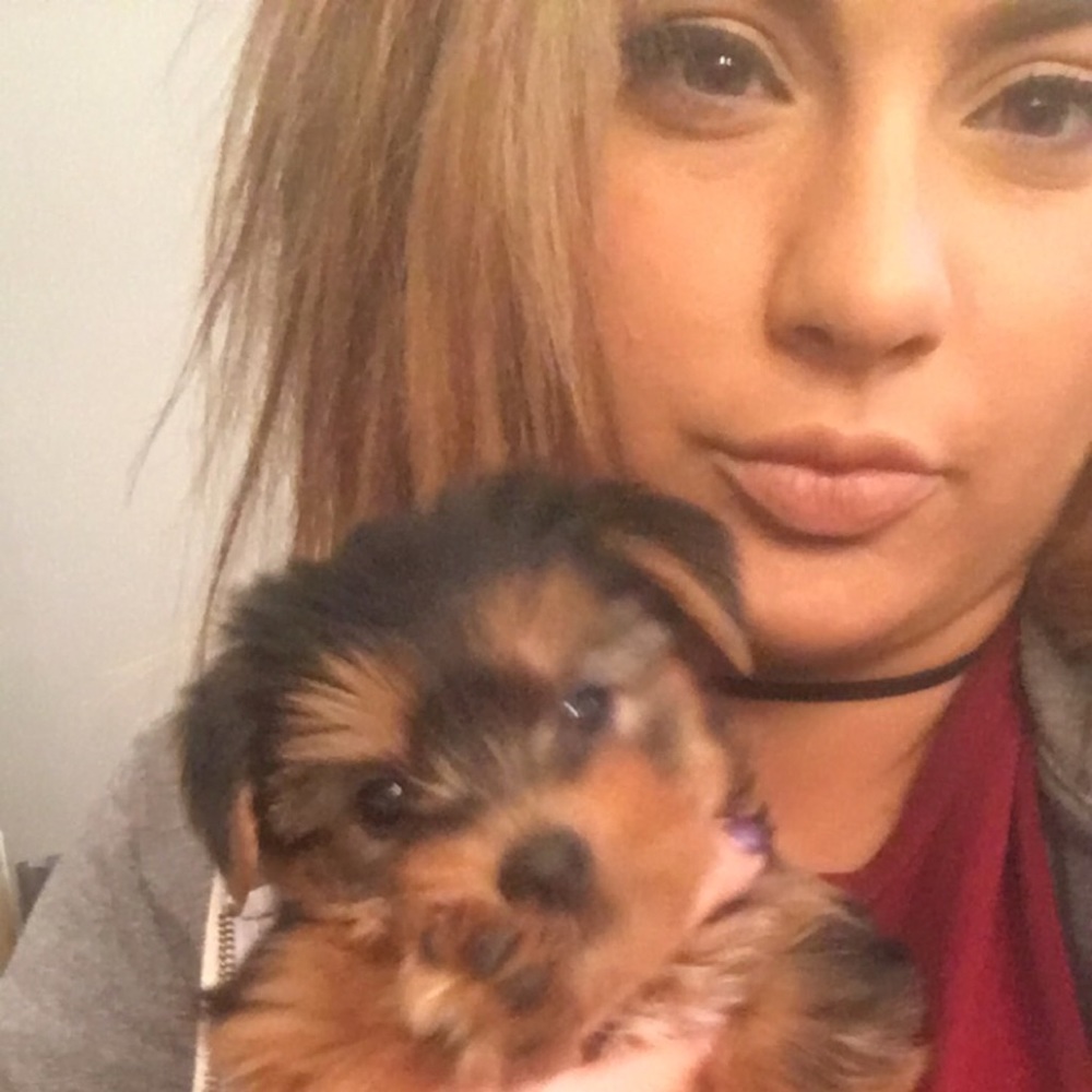 Meet your Posher, Markie