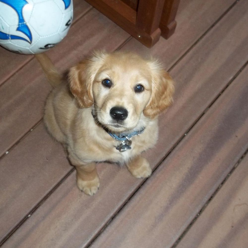 Meet your Posher, Cassy