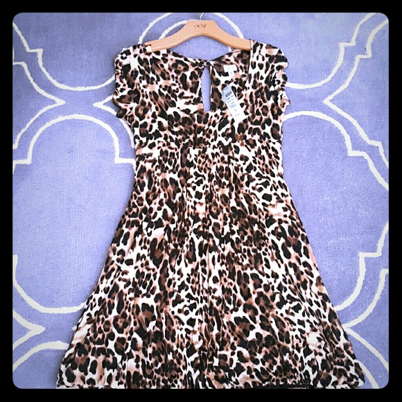 Caché animal print dress - Picture 1 of 4