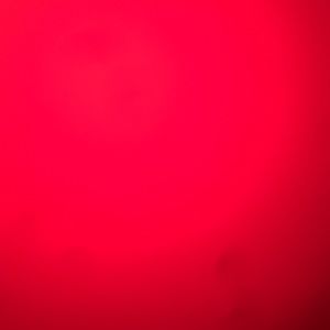 Meet your Posher, Ana