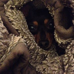 Meet your Posher, Joann