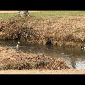 Meet your Posher, Drew