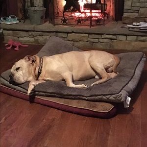 Meet your Posher, Aimee