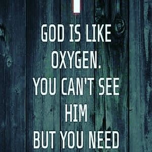 Meet your Posher, Sheila