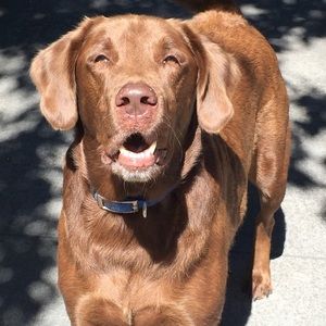 Meet your Posher, Janie